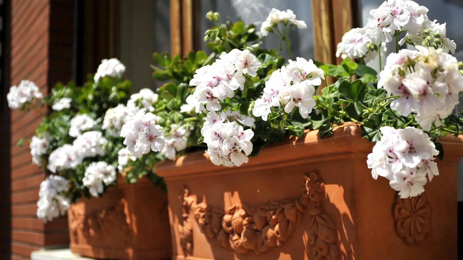 Hotel Tigullio Lavagna